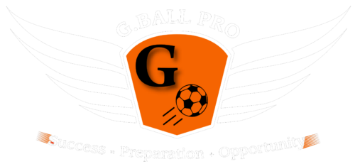 G. Ball Pro Academy